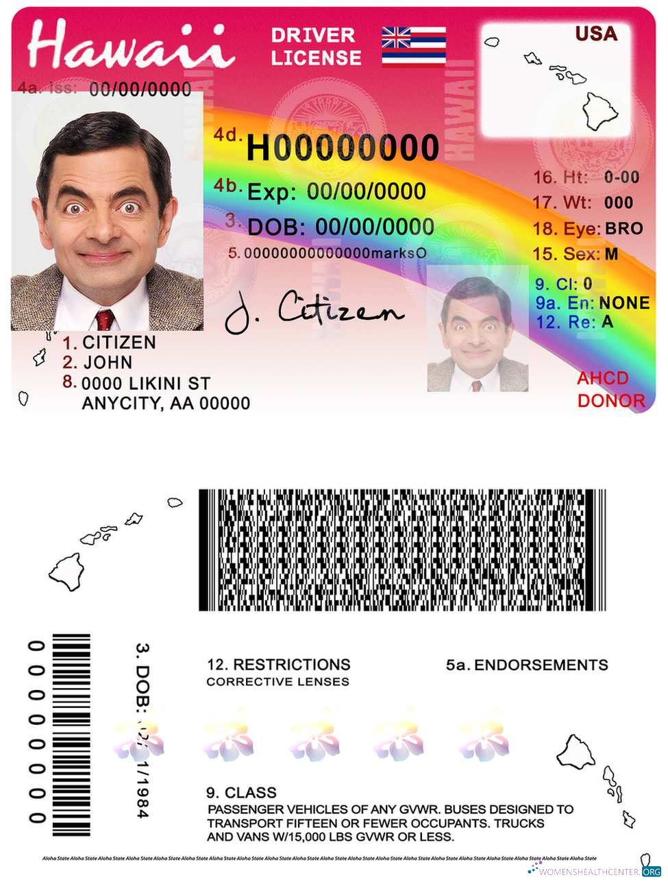download Hawaii driving license